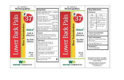 lower back pain combo 37.jpg - lower back pain combo 37